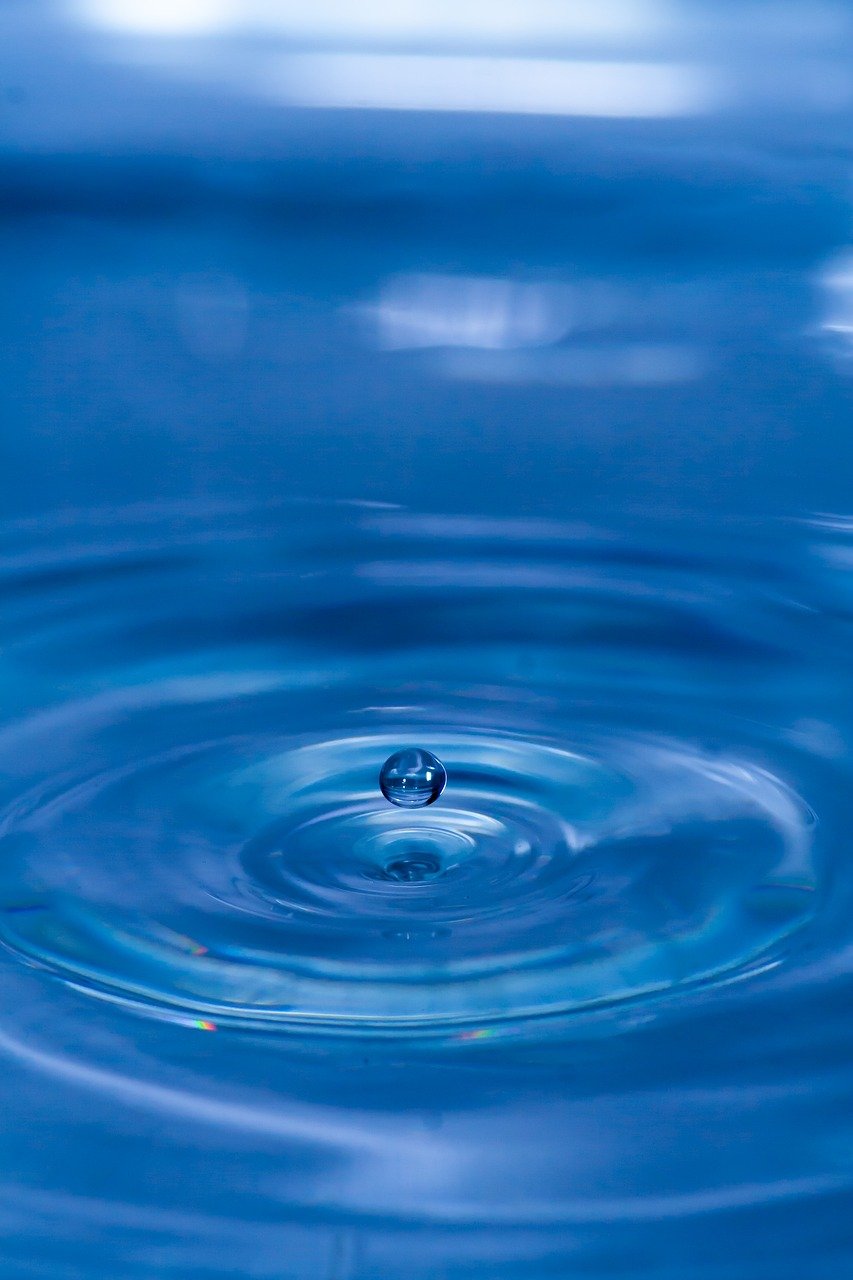 drip, water, rain, wet, drop of water, raindrop, liquid, droplets, macro, close up, water, water, water, water, water, nature, rain, rain, rain